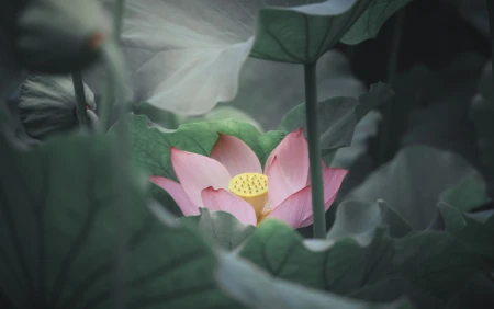 摩羯座容易动心，但走不到一起的星座